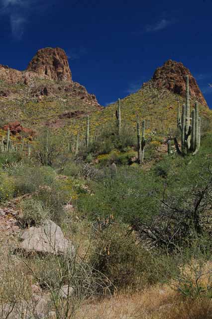 along the Apache Trail